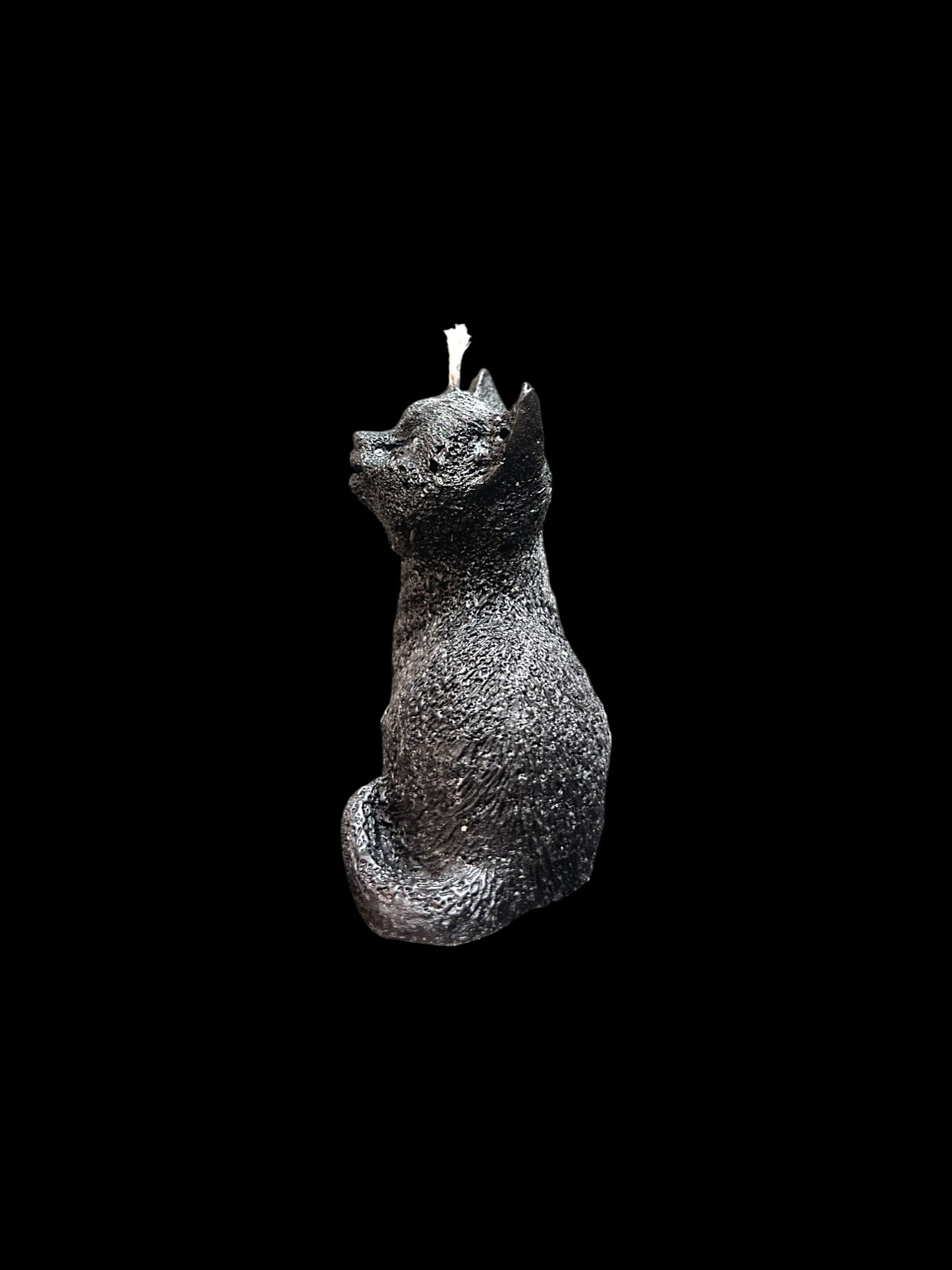 GATTO nero