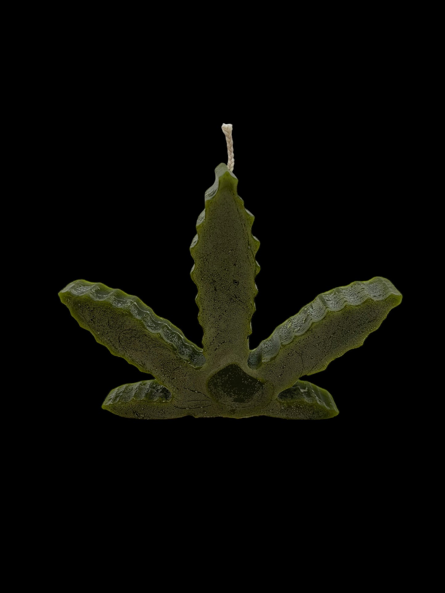 FOGLIA MARIJUANA verde