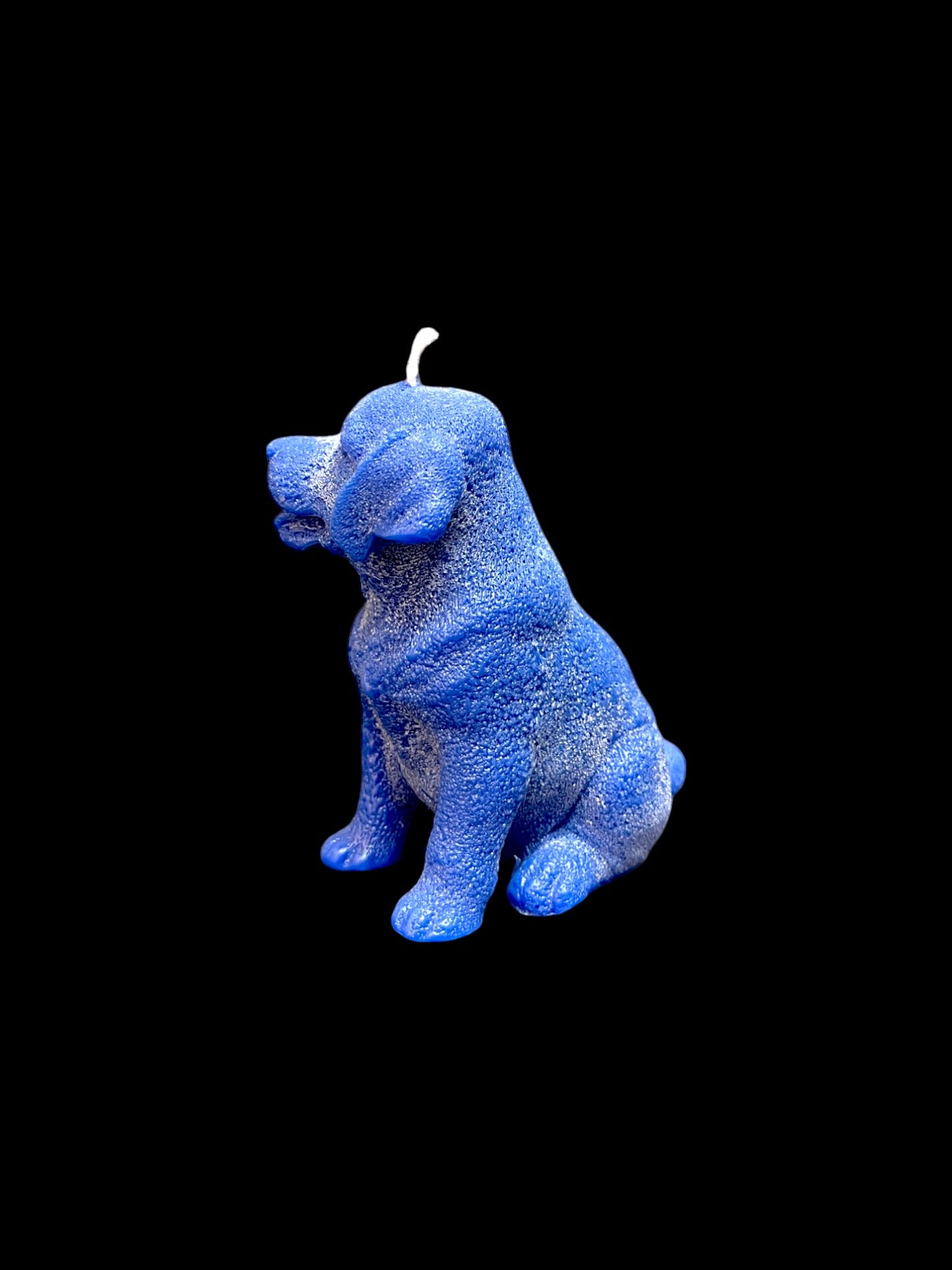 LABRADOR blu