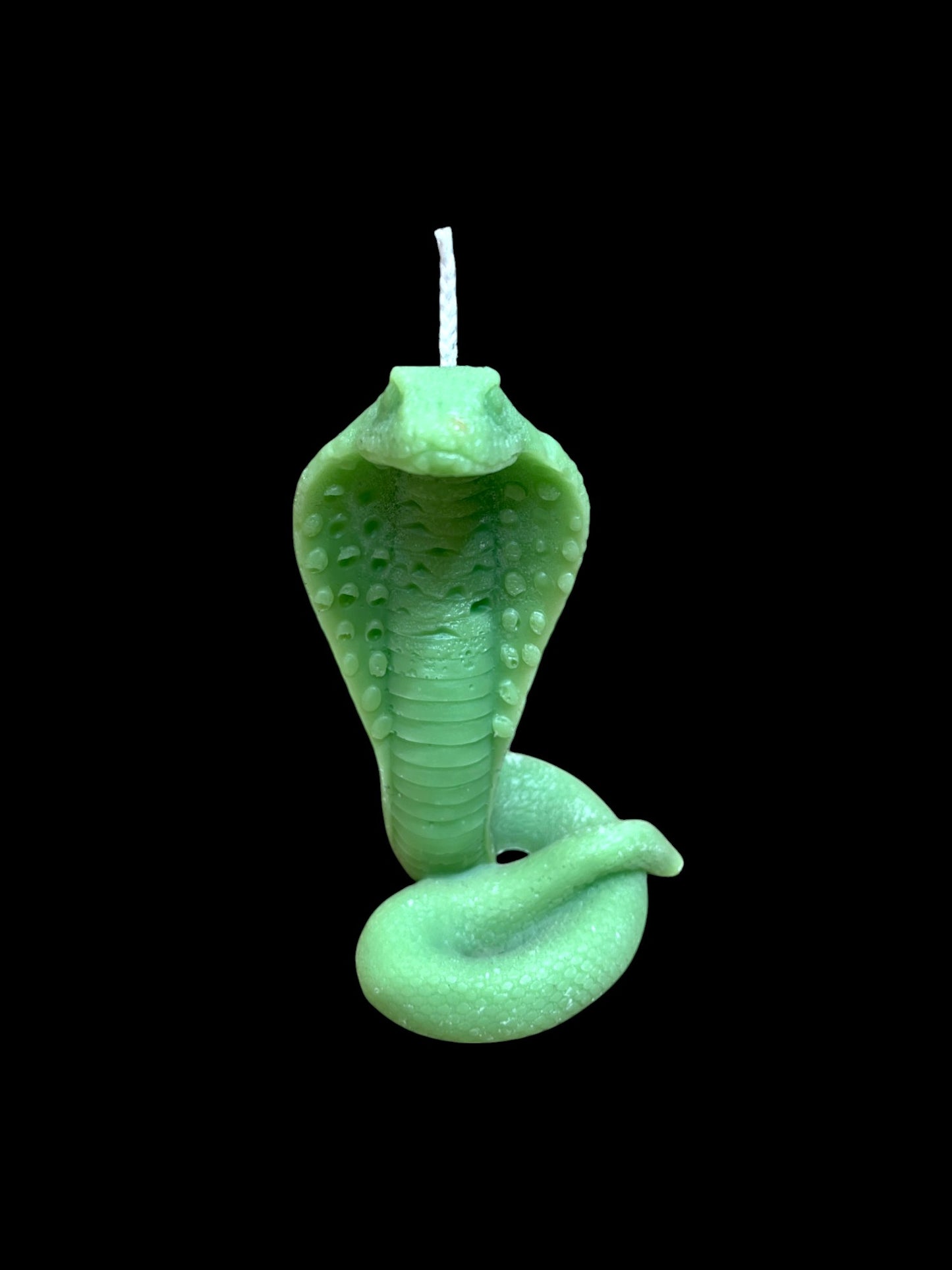 SERPENTE🐍 verde