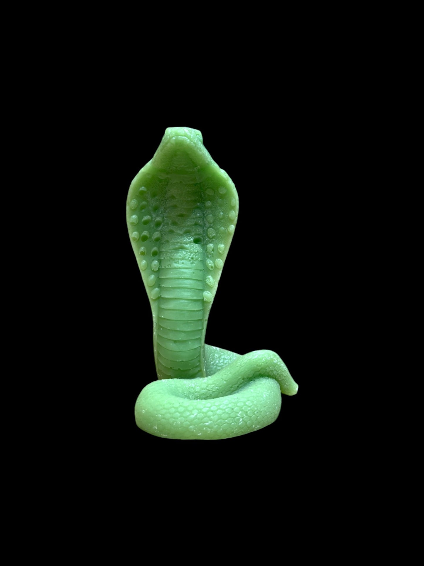 SERPENTE🐍 verde