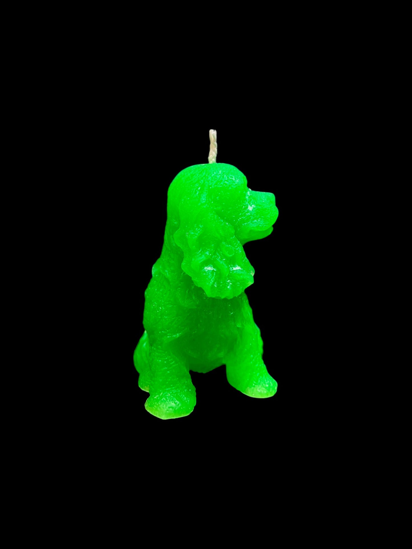 SPANIEL verde fluo