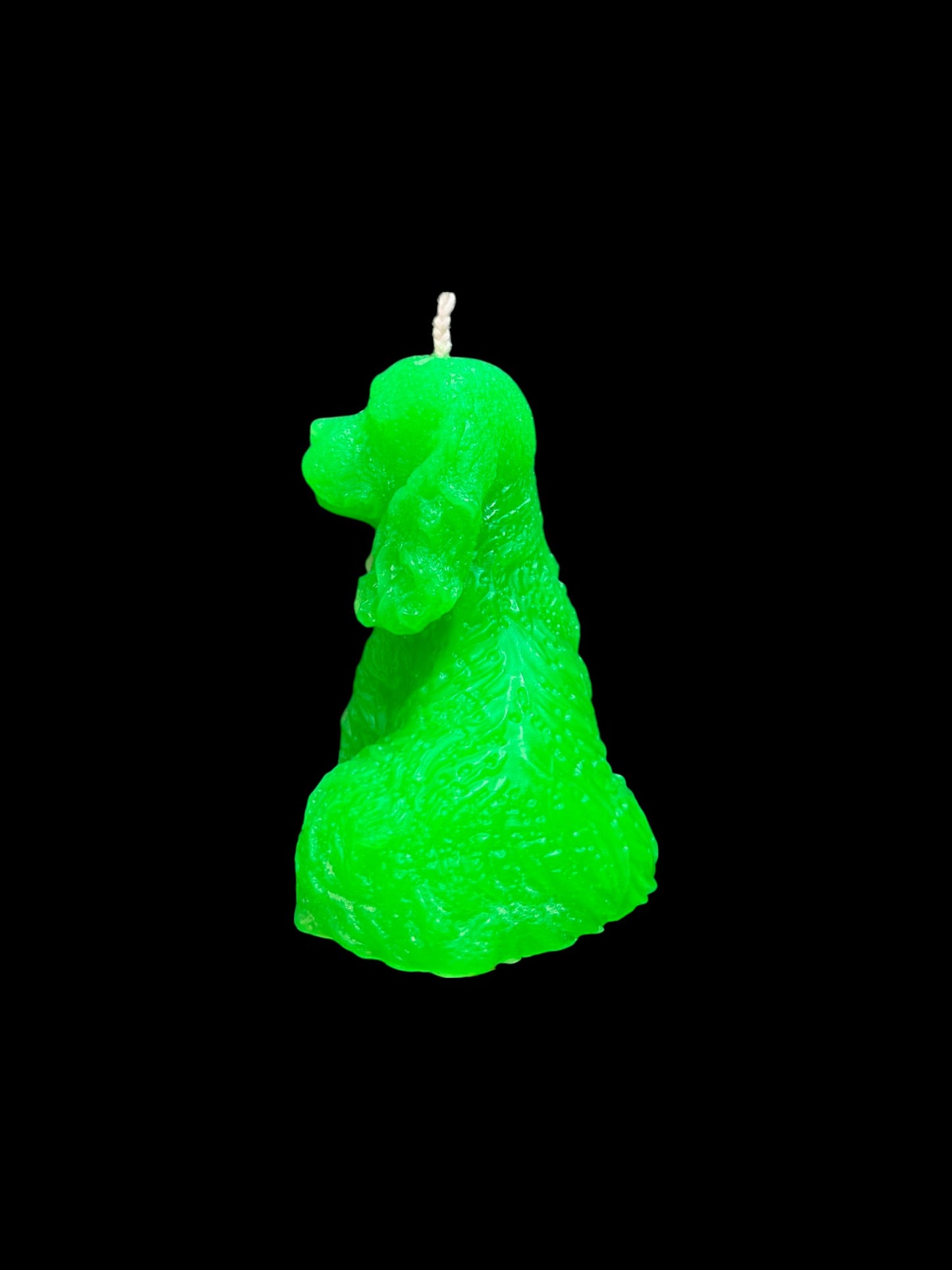 SPANIEL verde fluo