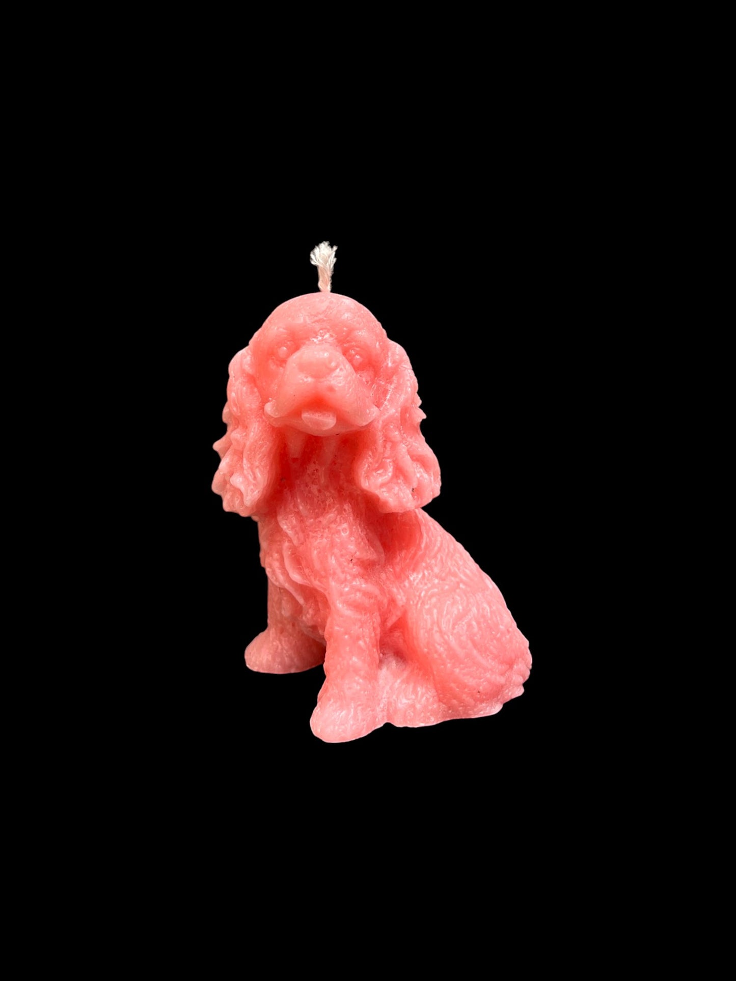 SPANIEL rosa