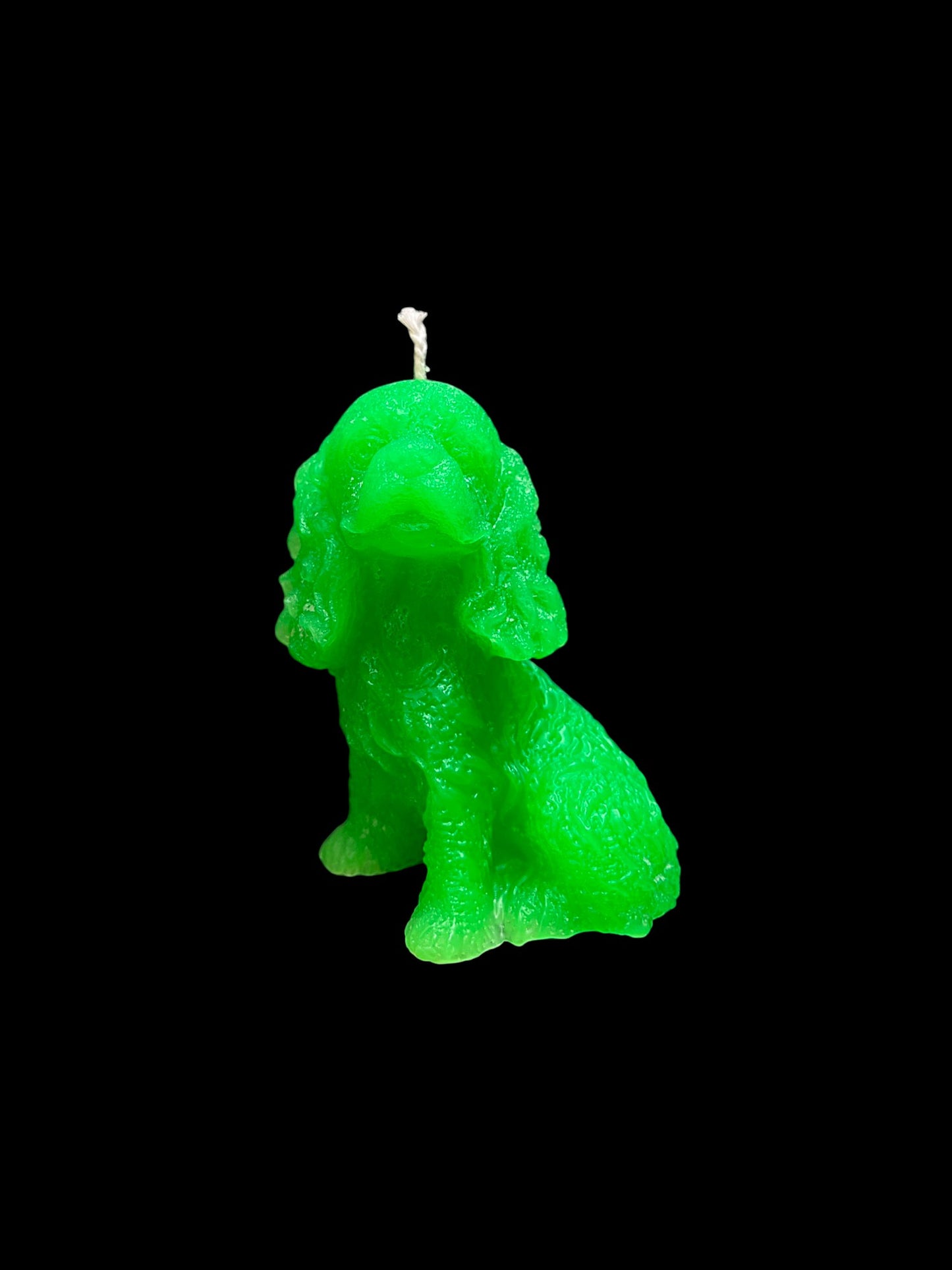 SPANIEL verde fluo