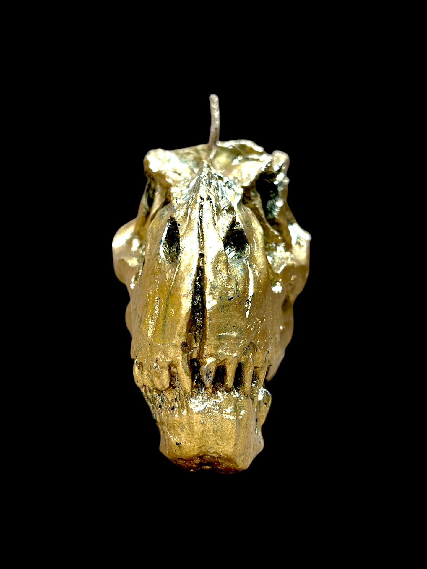 TESCHIO DI T-REX oro