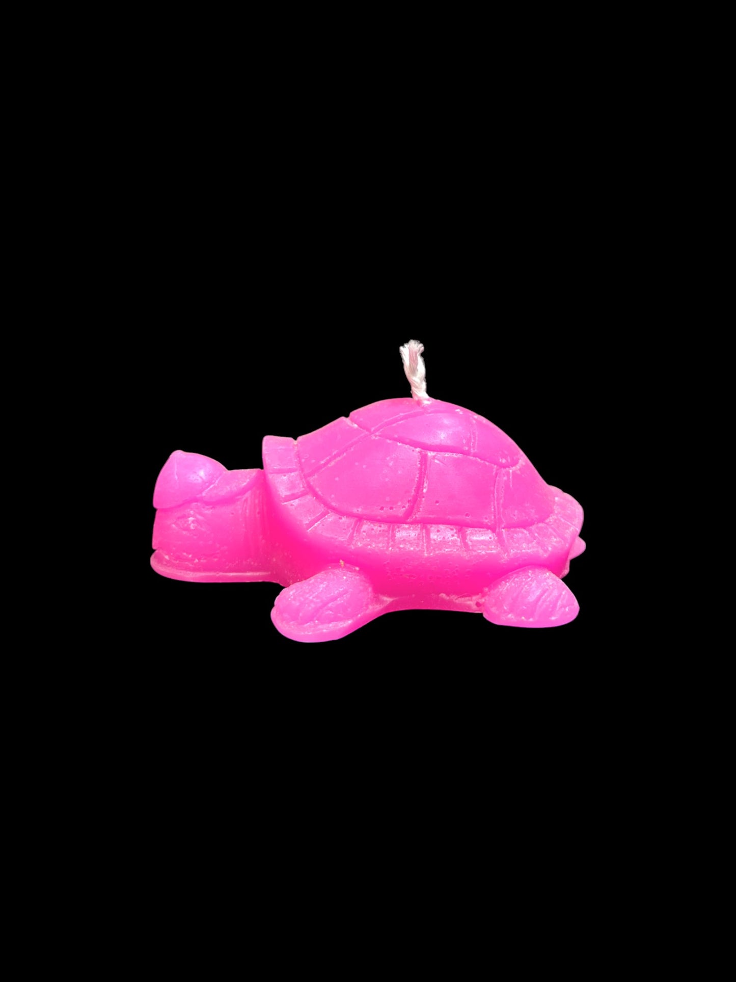 TARTARUGA fucsia