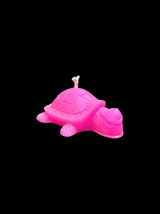 TARTARUGA fucsia