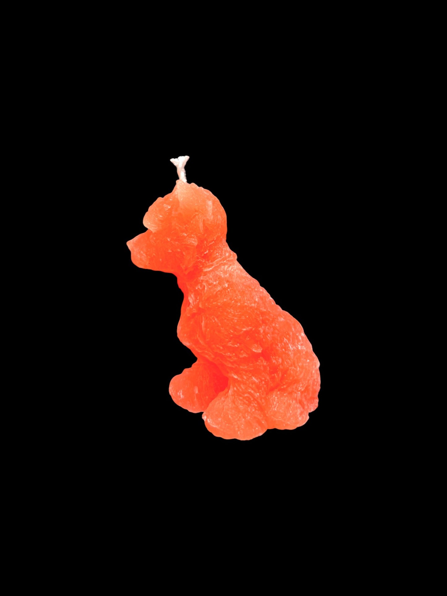 YORKSHIRE arancio fluo