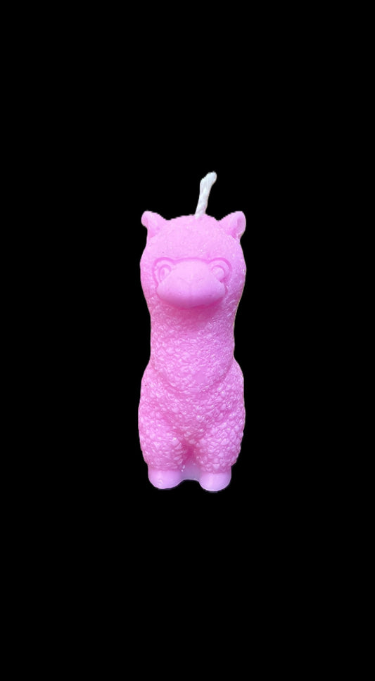 ALPACA rosa