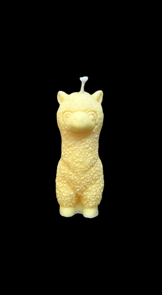 ALPACA giallo