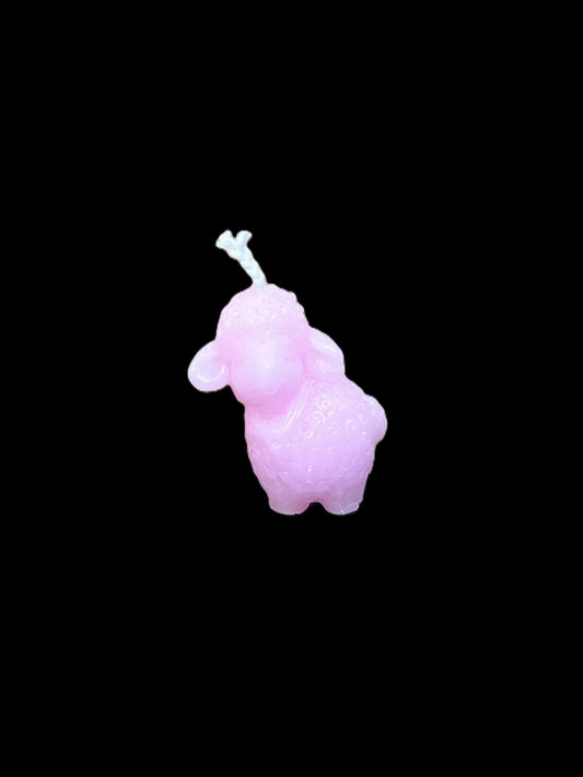 PECORA rosa