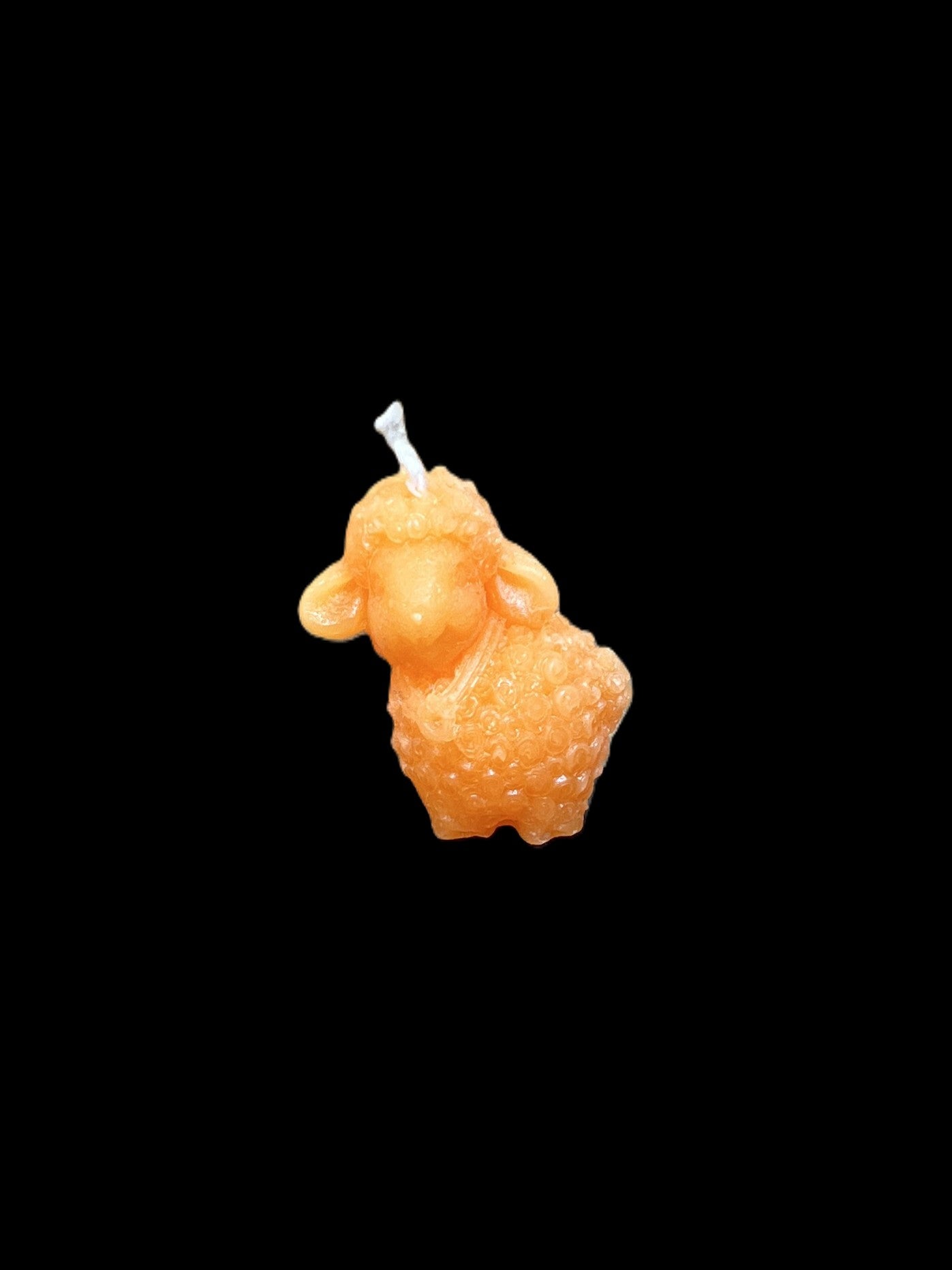 PECORA arancione