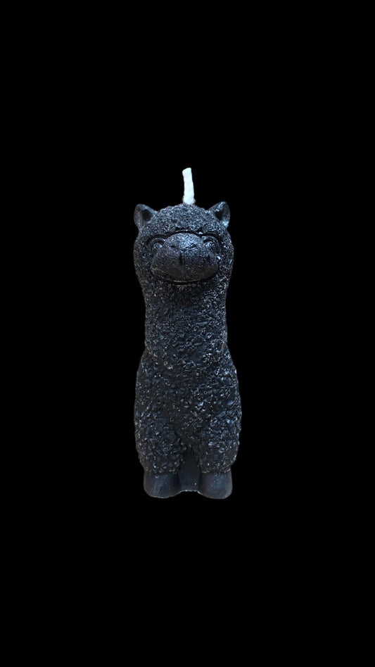 ALPACA nero