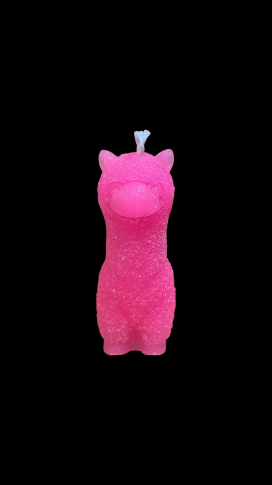 ALPACA fucsia
