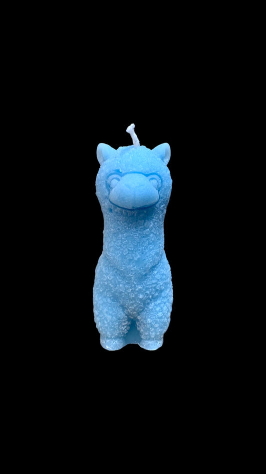 ALPACA azzurro