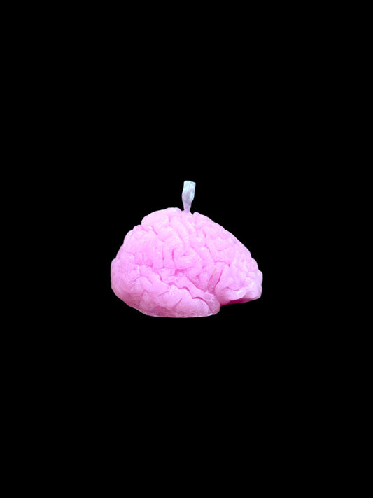 CERVELLO rosa