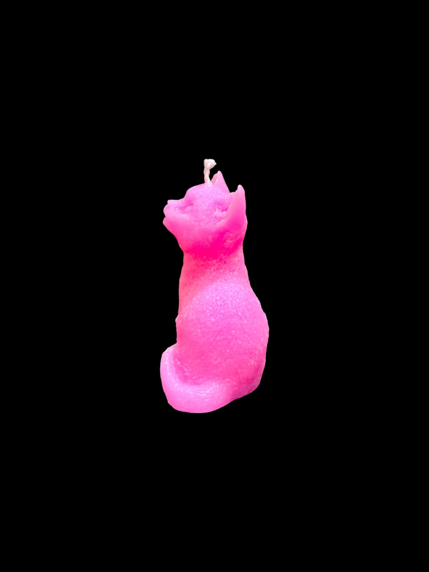 GATTO fucisa