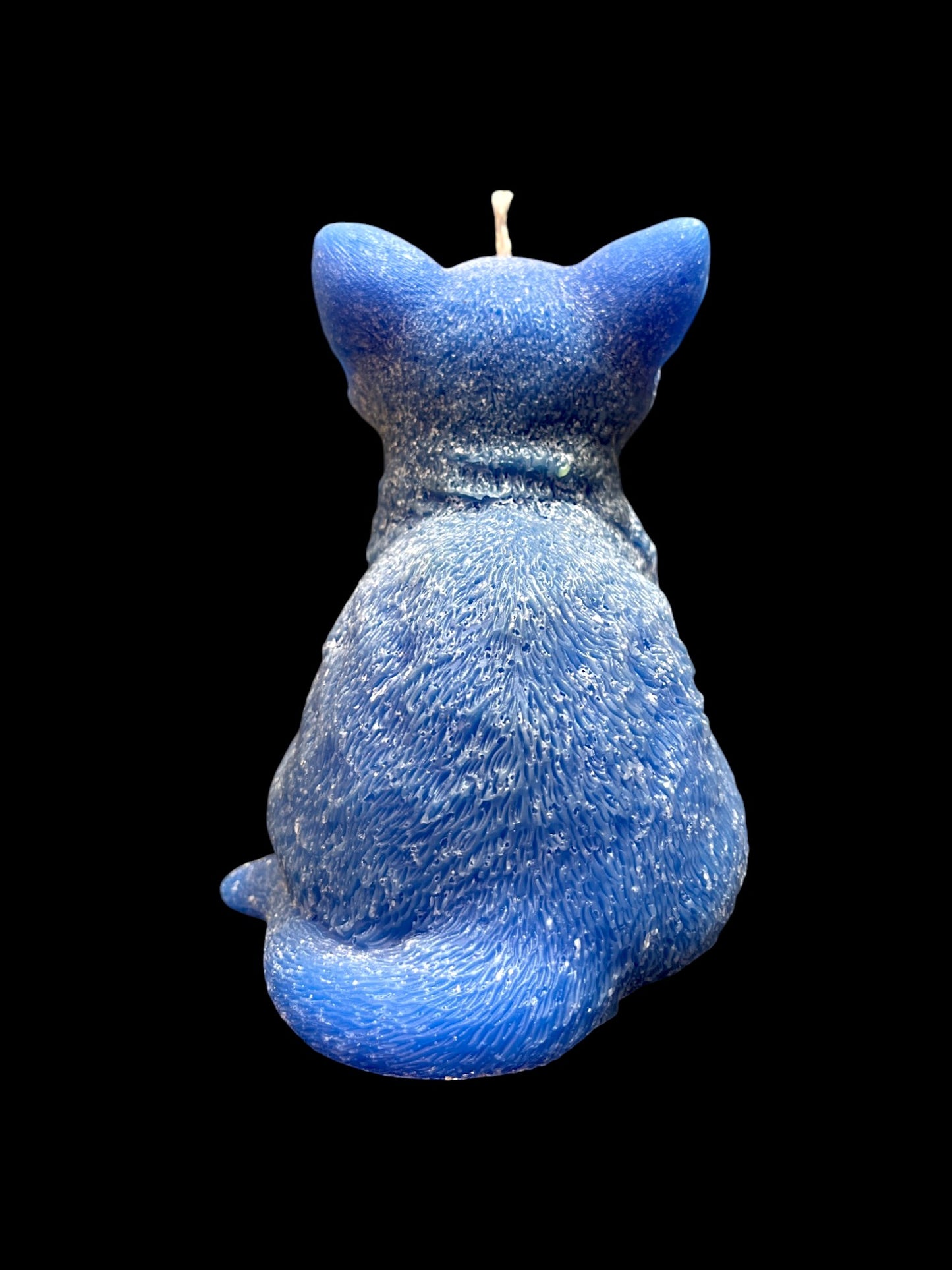 GATTO grande blu