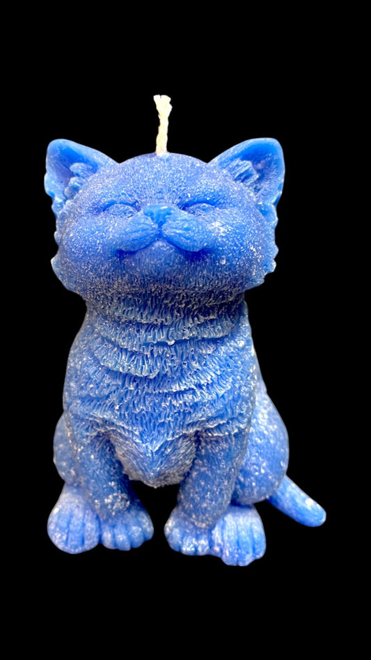 GATTO grande blu