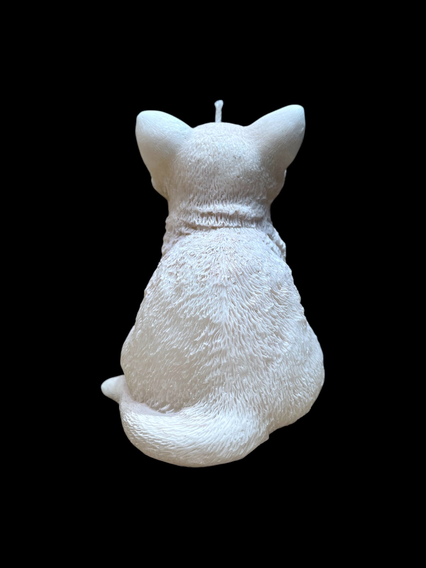 GATTO grande bianco