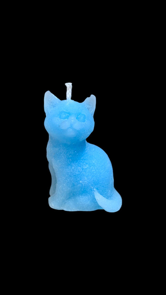 GATTO azzurro