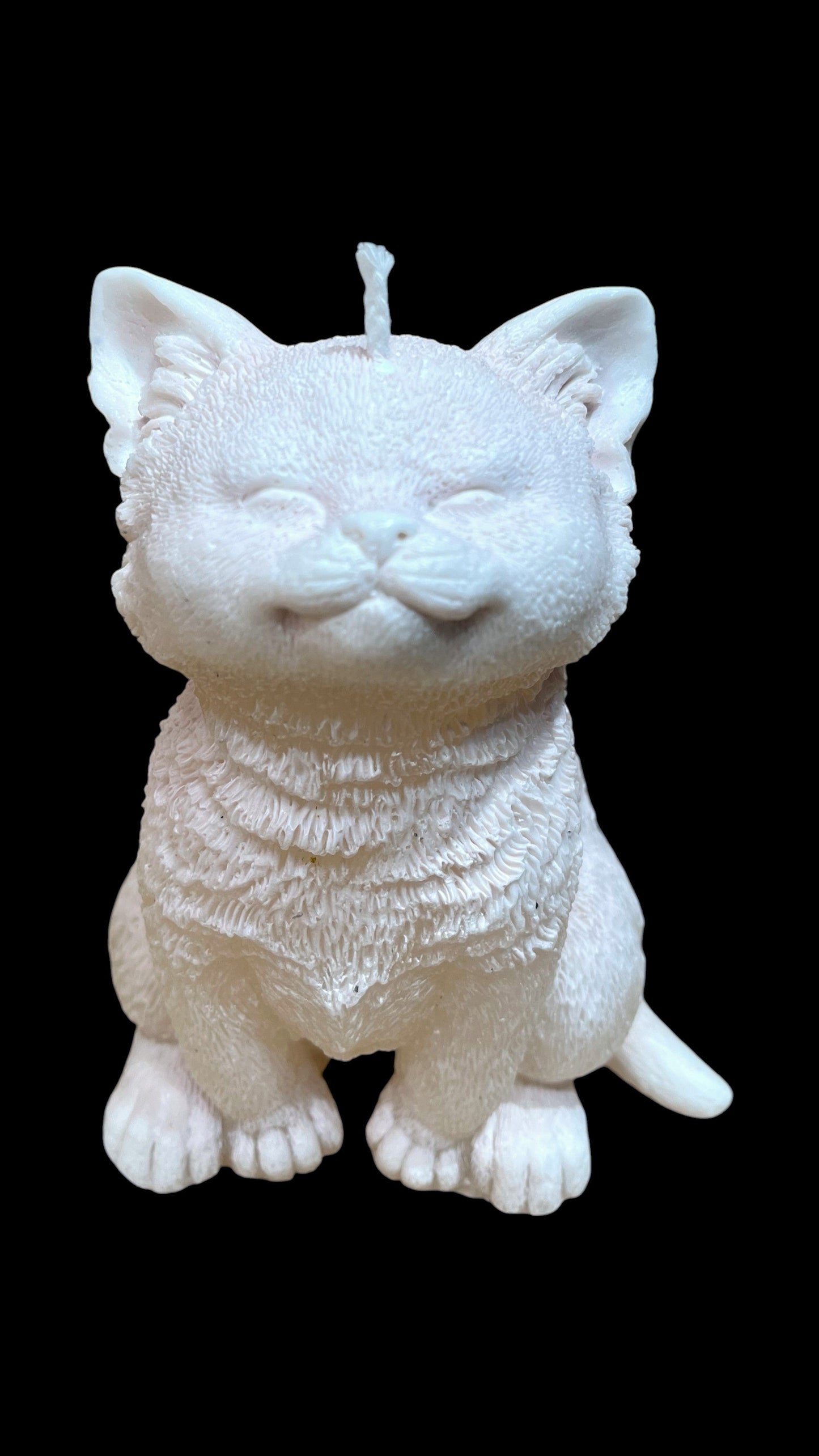GATTO grande bianco