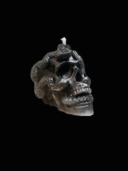 TESCHIO ATTRAVERSATO DA SERPENTI nero