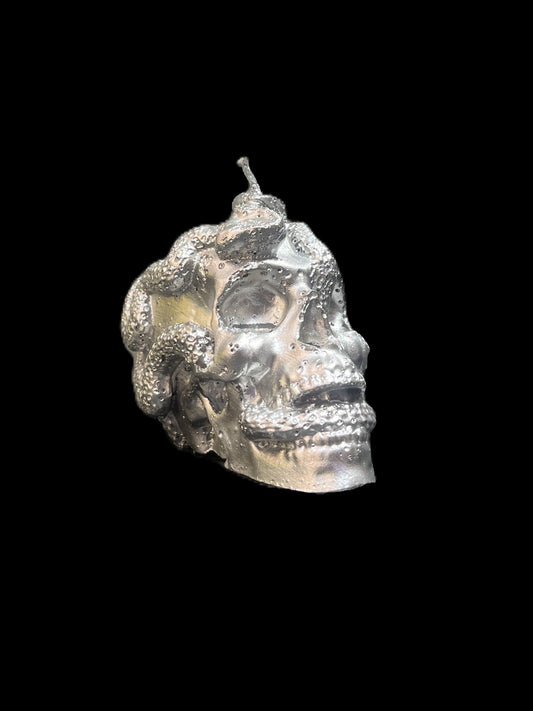 TESCHIO ATTRAVERSATO DA SERPENTI argento
