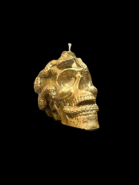 TESCHIO ATTRAVERSATO DA SERPENTI oro