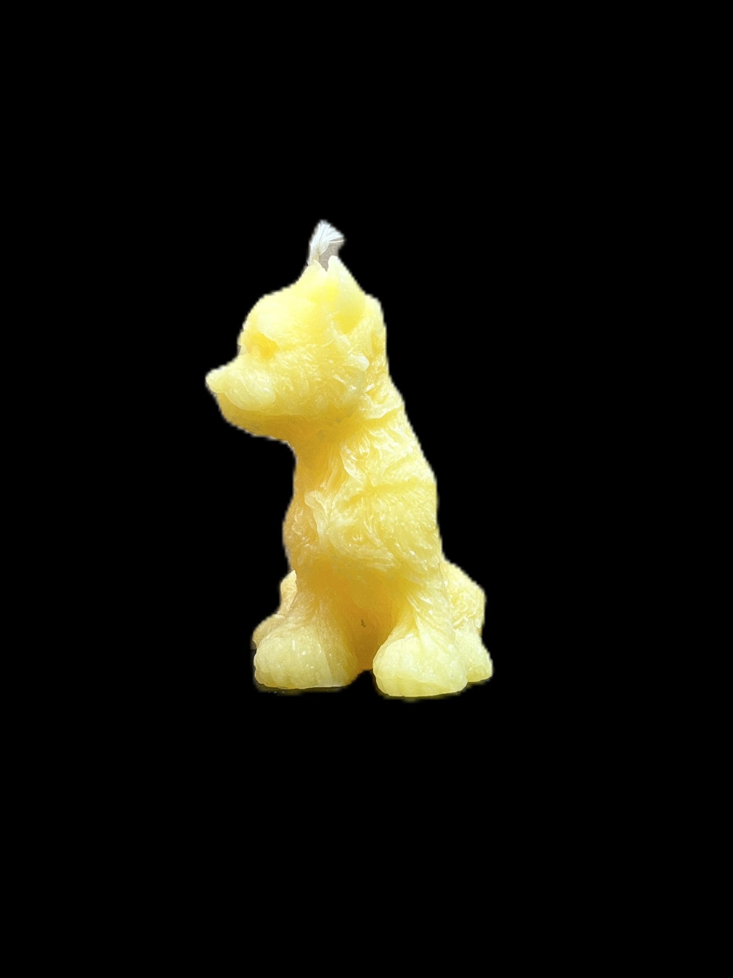 YORKSHIRE giallo