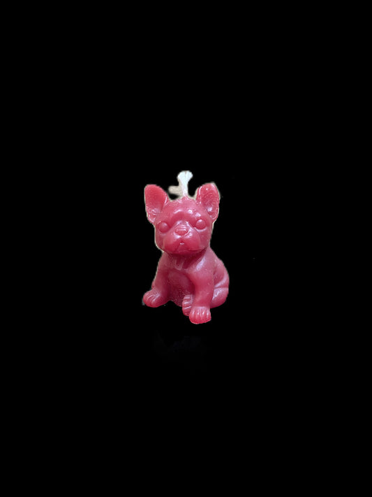 BULLDOG PICCOLO rosso