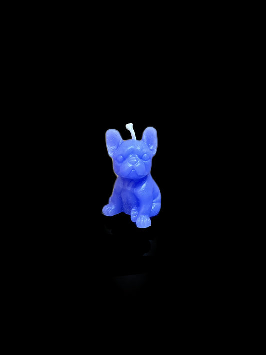 BULLDOG PICCOLO blu