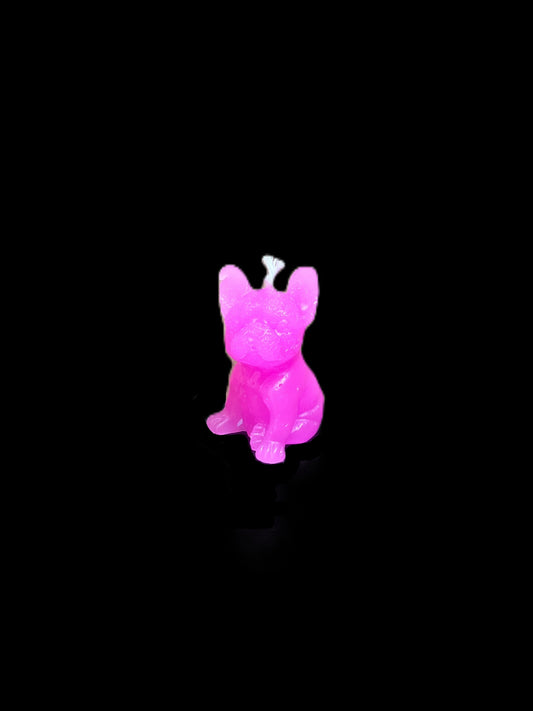 BULLDOG PICCOLO fucsia