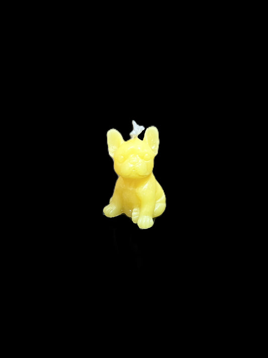 BULLDOG PICCOLO giallo