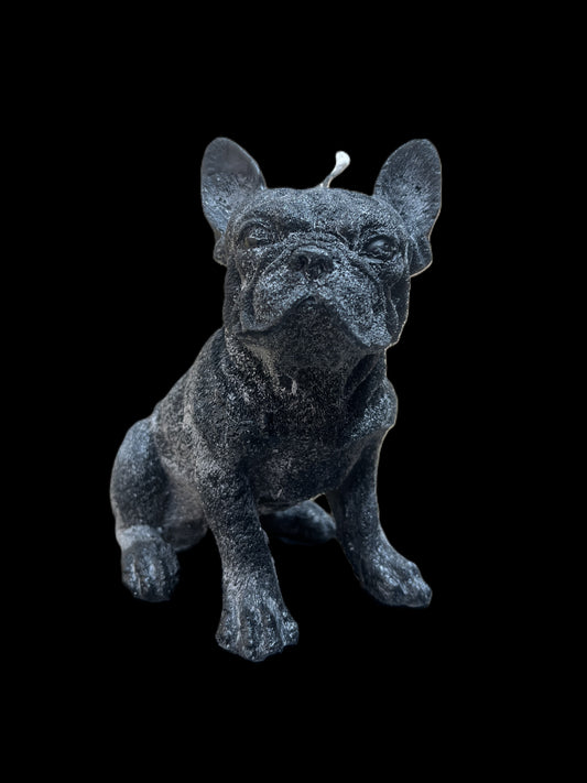 BULLDOG grande nero