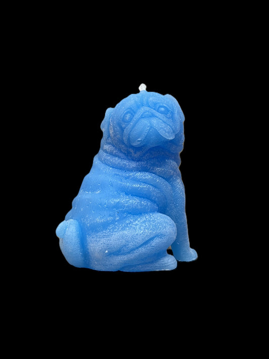 CARLINO azzurro
