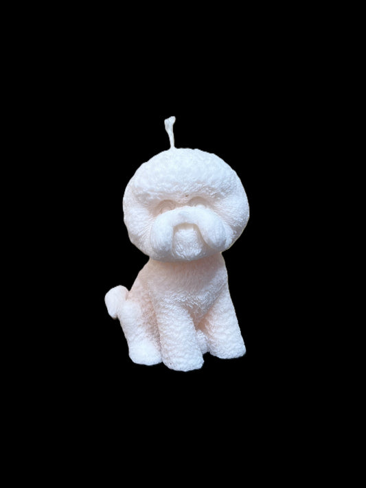 BICHON FRISè bianco