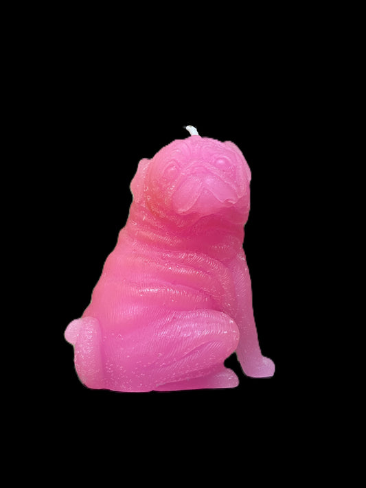 CARLINO fucsia