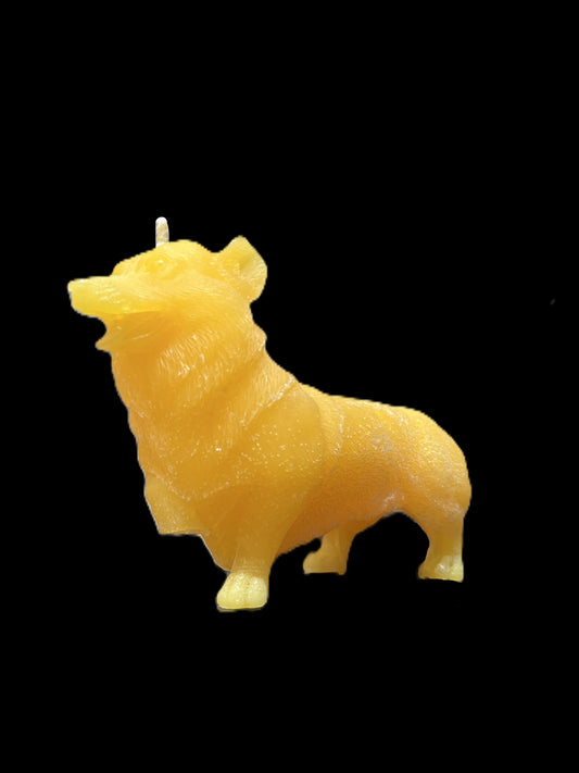 CORGI giallo