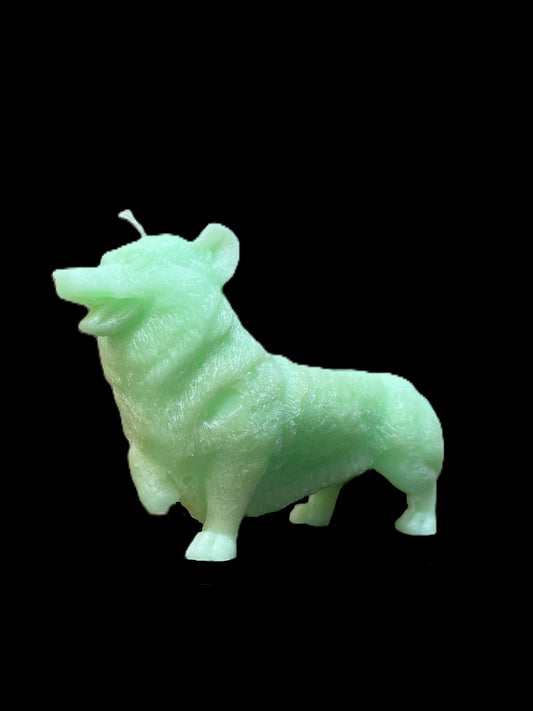 CORGI verde