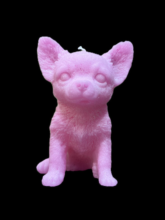 CHIHUAHUA rosa