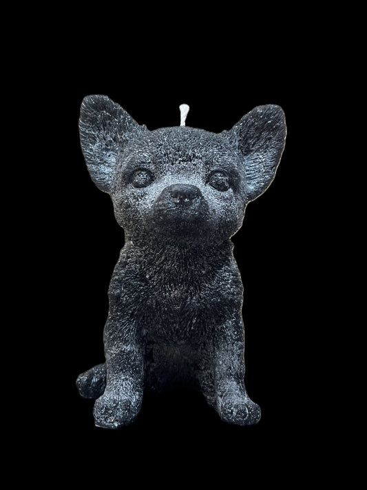 CHIHUAHUA nero