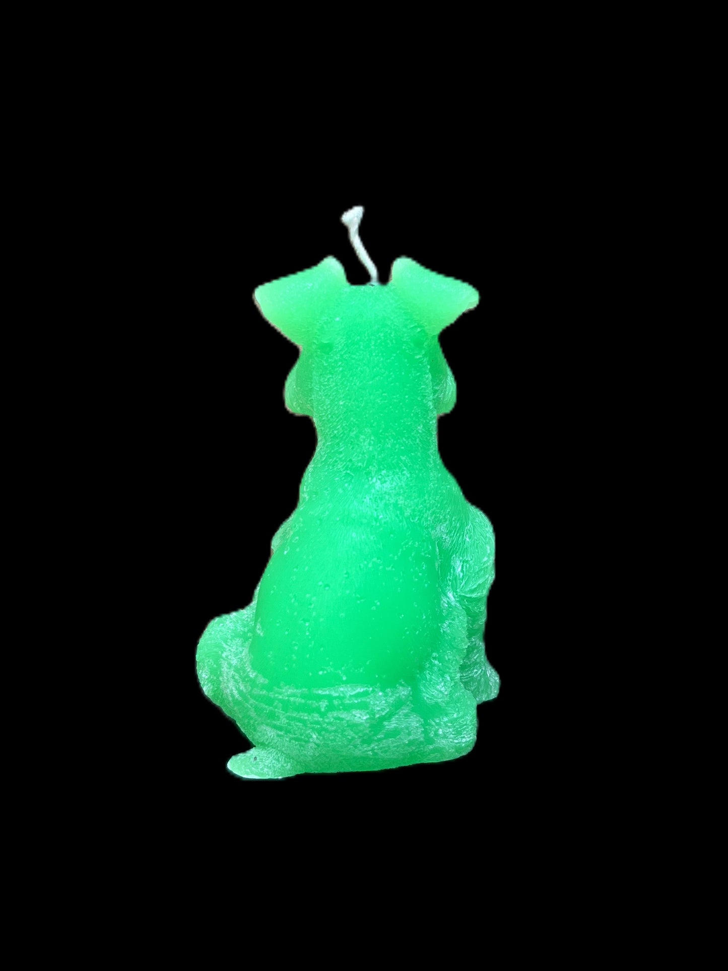 SCHNAUZER verde