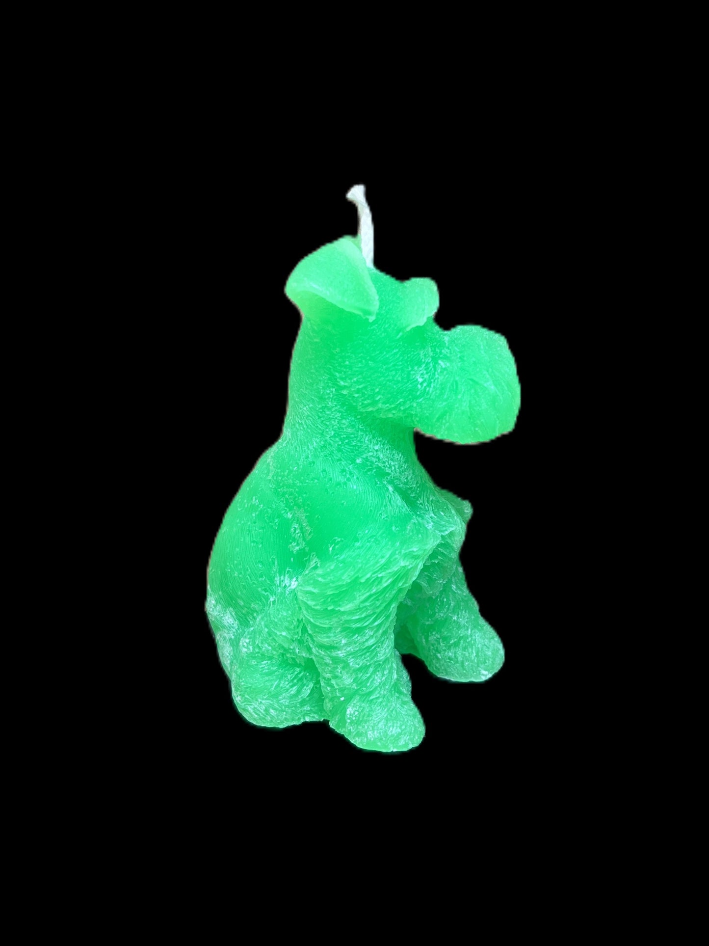 SCHNAUZER verde