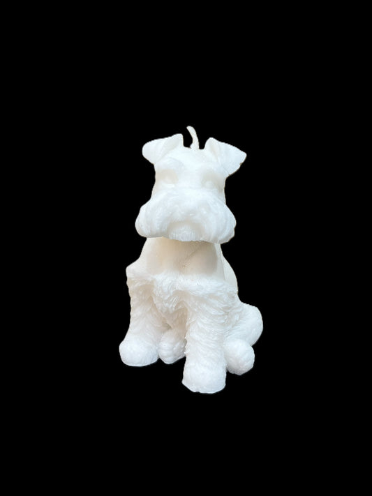 SCHNAUZER bianco