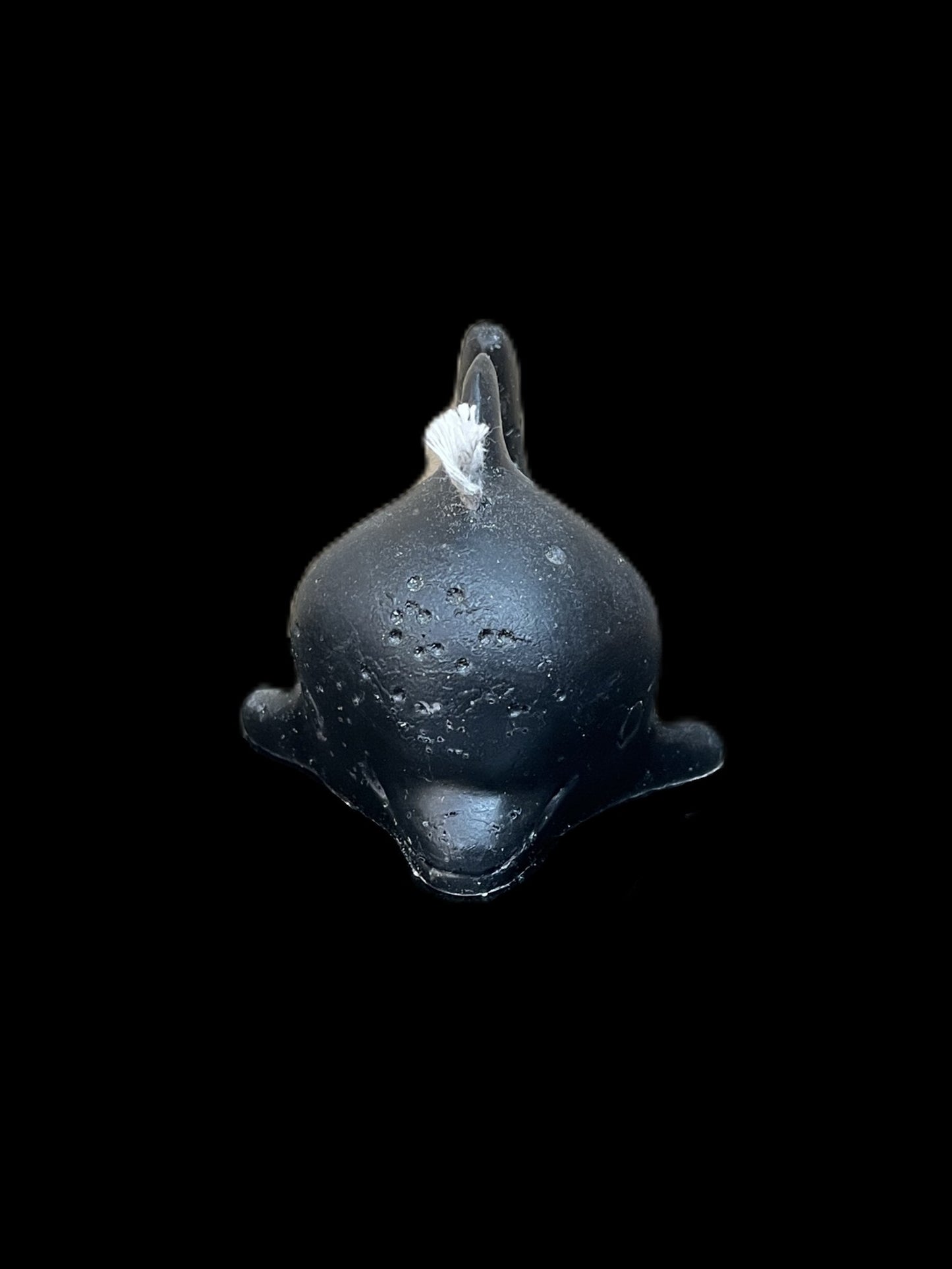 DELFINO nero