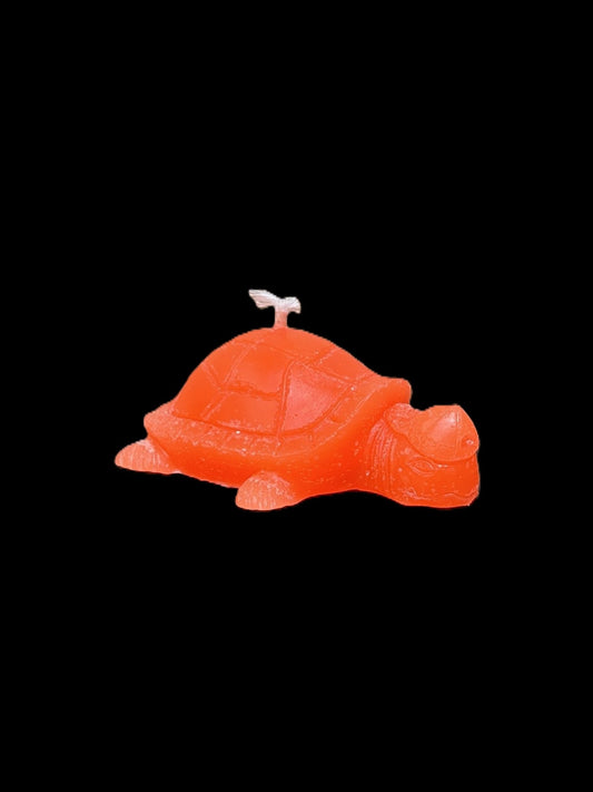 TARTARUGA arancione