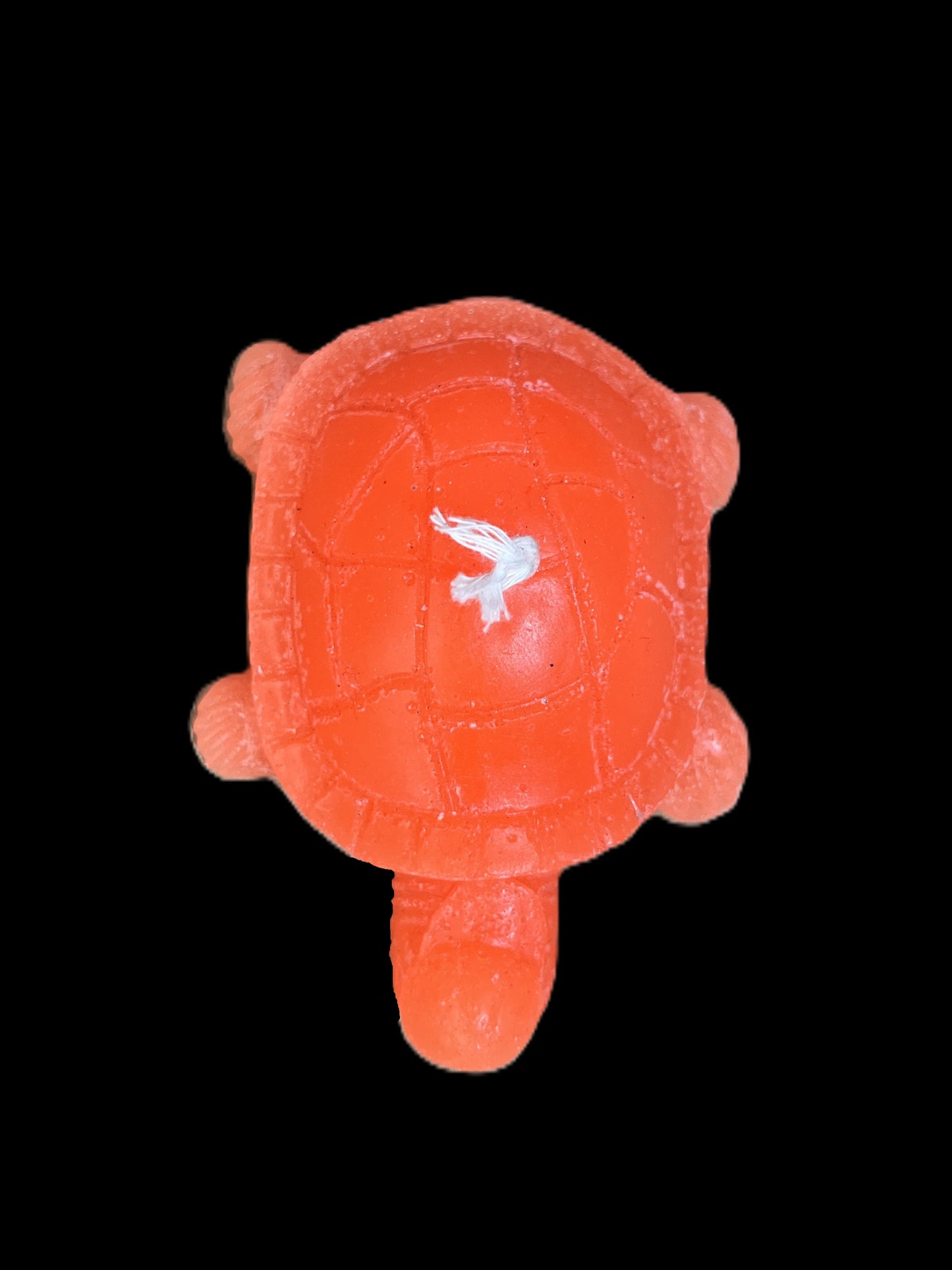 TARTARUGA arancione