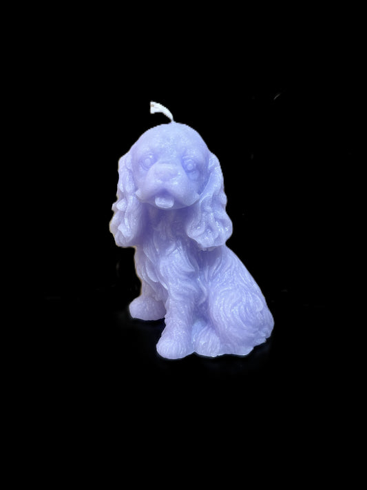 SPANIEL viola
